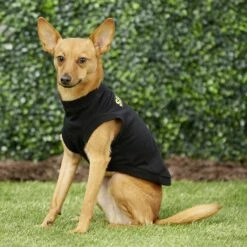 Frisco Security Dog & Cat T-Shirt 13 Frisco Security Dog & Cat T-Shirt -Frisco 139501 PT5. AC SS1800 V1624603968