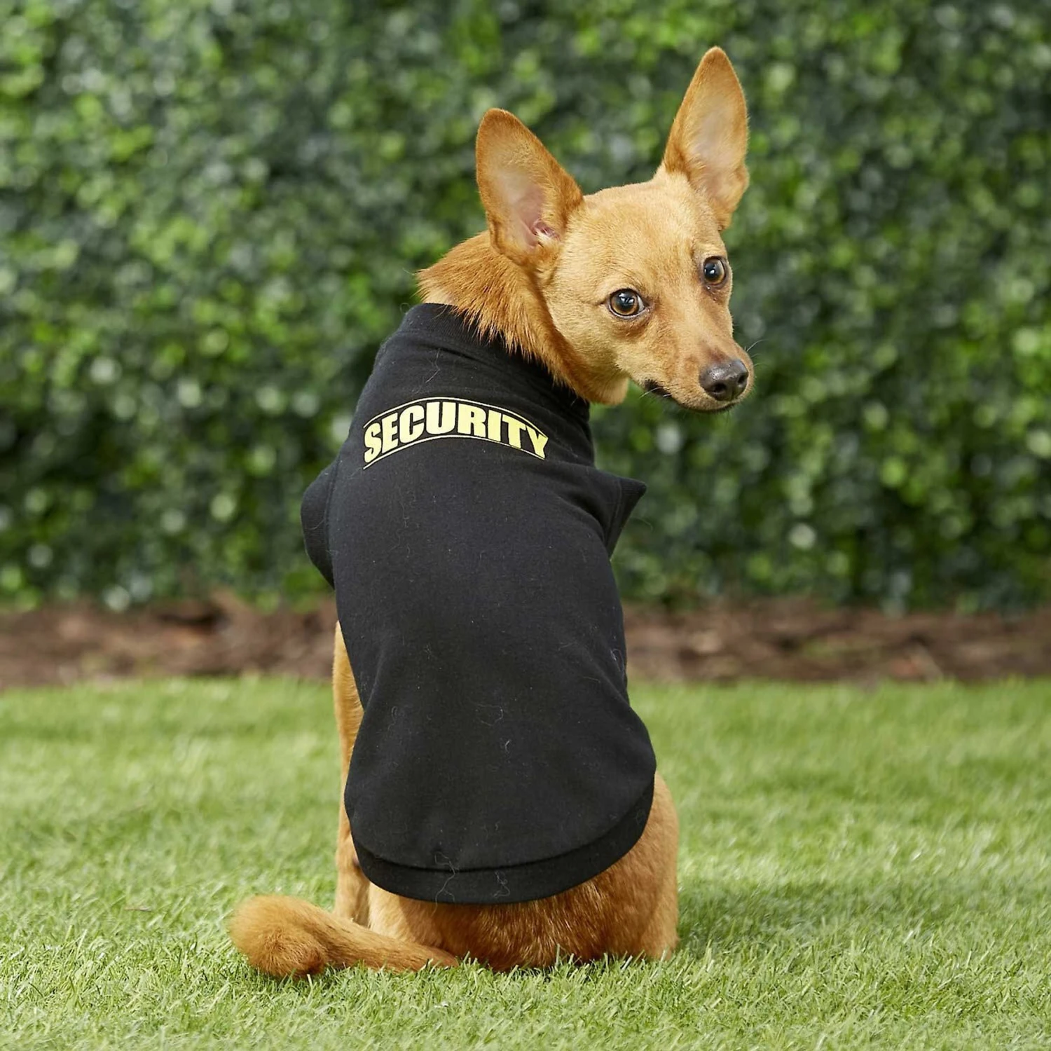 Frisco Security Dog & Cat T-Shirt 7 Frisco Security Dog & Cat T-Shirt - Image 7