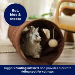 Frisco 47-in Foldable Crinkle Play Tunnel With 2 Windows 8 Frisco 47-in Foldable Crinkle Play Tunnel With 2 Windows -Frisco 140168 PT3. AC SS1800 V1695241917