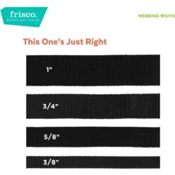 Frisco Pineapple Polyester Breakaway Cat Collar With Bell 9 Frisco Pineapple Polyester Breakaway Cat Collar With Bell -Frisco 153158 PT6. AC SS1800 V1629992814