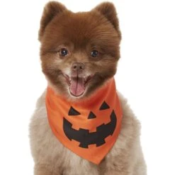 Frisco Jack O' Lantern Pumpkin Dog & Cat Bandana 9 Frisco Jack O' Lantern Pumpkin Dog & Cat Bandana -Frisco 158934 PT2. AC SS1800 V1690828662