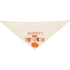 Frisco Mommy's Lil Pumpkin Dog & Cat Bandana 10 Frisco Mommy's Lil Pumpkin Dog & Cat Bandana -Frisco 158936 PT3. AC SS1800 V1689628812