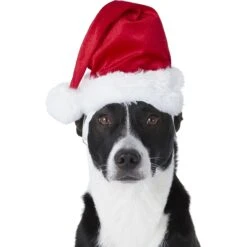 Frisco Holiday Dog & Cat Santa Hat, 1 Count 8 Frisco Holiday Dog & Cat Santa Hat, 1 Count -Frisco 160054 PT2. AC SS1800 V1669100718