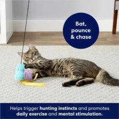 Frisco Bird With Feathers Teaser Wand Cat Toy With Catnip 6 Frisco Bird With Feathers Teaser Wand Cat Toy With Catnip -Frisco 161199 PT2. AC SS1800 V1678723897