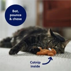 Frisco Squirrel Plush Cat Toy With Refillable Catnip 6 Frisco Squirrel Plush Cat Toy With Refillable Catnip -Frisco 161271 PT3. AC SS1800 V1678723897