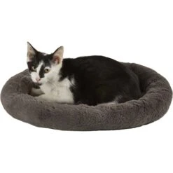 Frisco Self Warming Bolster Round Kitten Bed -Frisco 165315 PT2. AC SS1800 V1568211141
