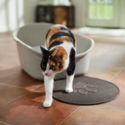 Frisco Shaped Cat Litter Mat 6 Frisco Shaped Cat Litter Mat -Frisco 166306 PT3. AC SS1800 V1675279990