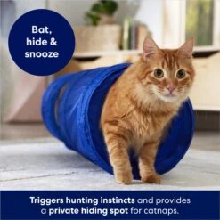 Frisco Foldable Play Tunnel With Mesh Cat Toy -Frisco 166385 PT2. AC SS1800 V1686580143