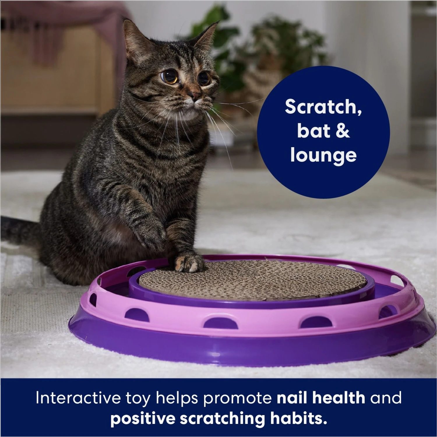 Frisco Scratch & Roll Scratcher Cat Toy With Catnip 3 Frisco Scratch & Roll Scratcher Cat Toy With Catnip - Image 3