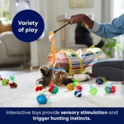 Frisco Plush, Teaser, Ball & Tunnel Variety Pack Cat Toy With Catnip 10 Frisco Plush, Teaser, Ball & Tunnel Variety Pack Cat Toy With Catnip -Frisco 169688 PT5. AC SS1800 V1691784246