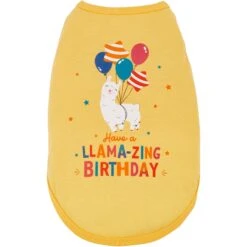 Frisco Llama-zing Birthday Dog & Cat T-Shirt 7 Frisco Llama-zing Birthday Dog & Cat T-Shirt -Frisco 191240 PT2. AC SS1800 V1582053523