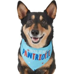 Frisco Pawtriot Dog & Cat Bandana