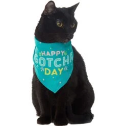 Frisco Happy Gotcha Day Dog & Cat Bandana 8 Frisco Happy Gotcha Day Dog & Cat Bandana -Frisco 200538 PT2. AC SS1800 V1633057623