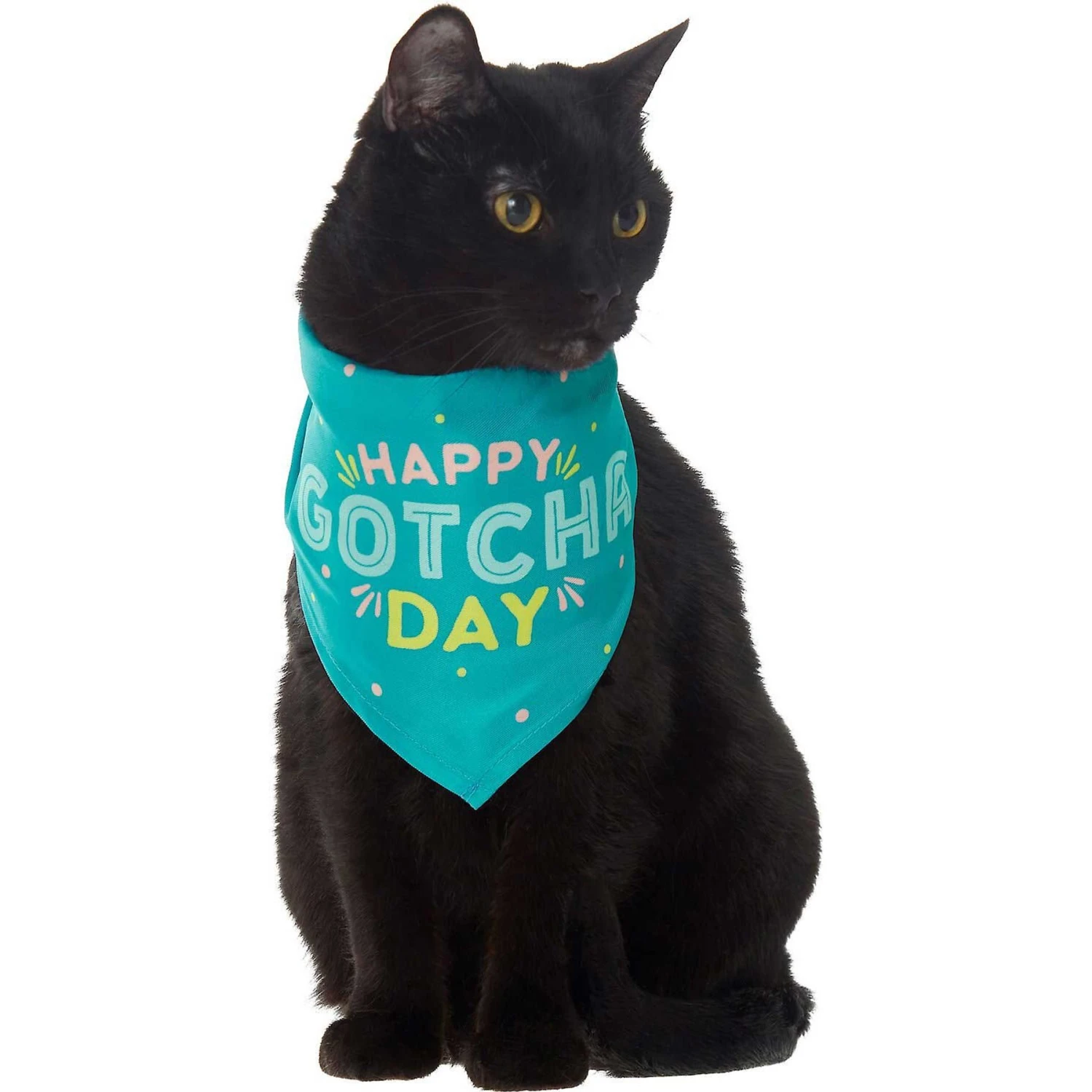 Frisco Happy Gotcha Day Dog & Cat Bandana 3 Frisco Happy Gotcha Day Dog & Cat Bandana - Image 3