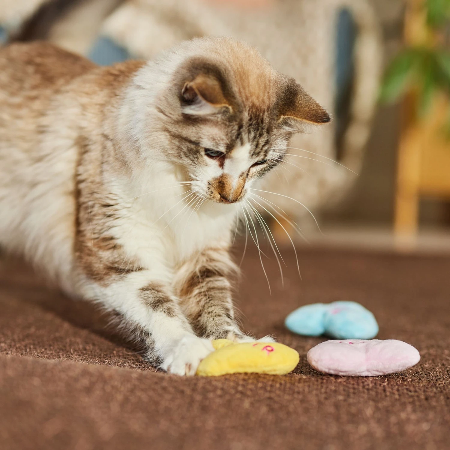 Frisco Candy Hearts Plush Cat Toy With Catnip, 3 Count 3 Frisco Candy Hearts Plush Cat Toy With Catnip, 3 Count - Image 3