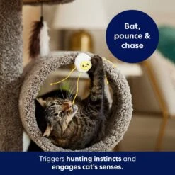 Frisco Plush Dangly Egg Buddy Cat Toy With Catnip 8 Frisco Plush Dangly Egg Buddy Cat Toy With Catnip -Frisco 213844 PT5. AC SS1800 V1691784029