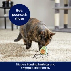 Frisco Dangly Avocado Buddy Plush Cat Toy With Catnip 8 Frisco Dangly Avocado Buddy Plush Cat Toy With Catnip -Frisco 213846 PT5. AC SS1800 V1691784029