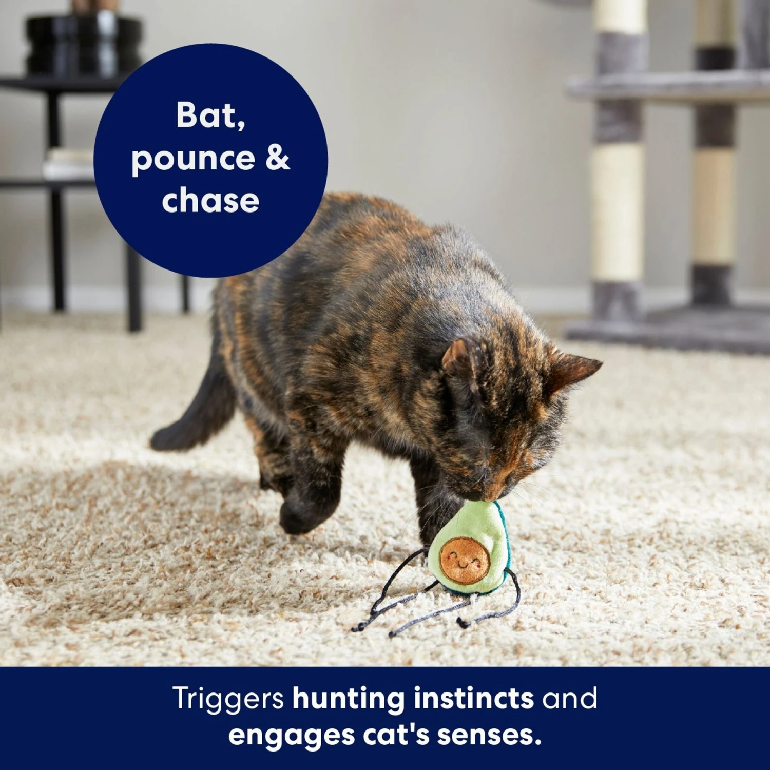 Frisco Dangly Avocado Buddy Plush Cat Toy With Catnip 4 Frisco Dangly Avocado Buddy Plush Cat Toy With Catnip - Image 4