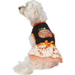 Frisco Pumpkin Patch Cutie Dog & Cat Dress 9 Frisco Pumpkin Patch Cutie Dog & Cat Dress -Frisco 215784 PT3. AC SS1800 V1632430875