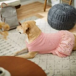Frisco Cable Knit Dog & Cat Sweater Dress 11 Frisco Cable Knit Dog & Cat Sweater Dress -Frisco 223706 PT7. AC SS1800 V1599921696