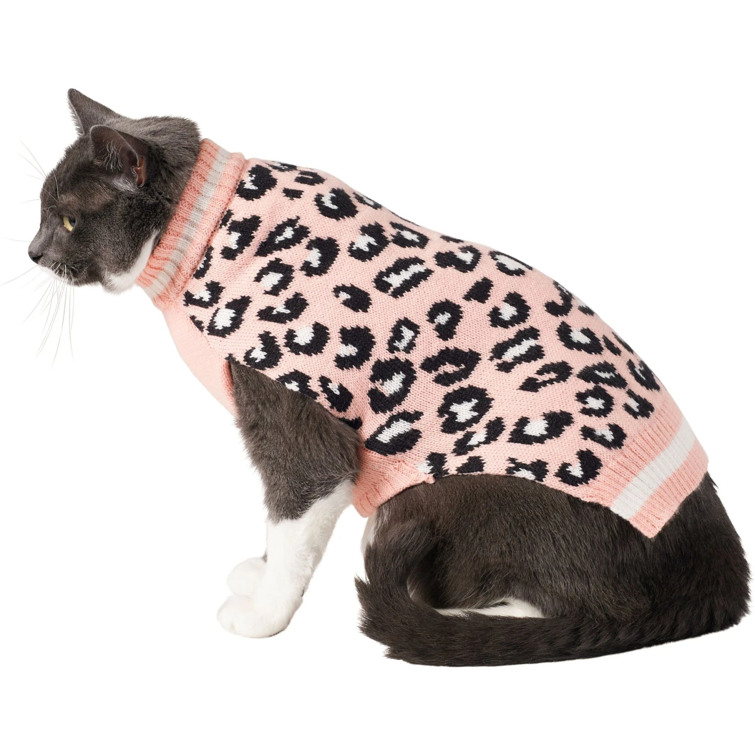 Frisco Leopard Print Dog & Cat Sweater 1 Frisco Leopard Print Dog & Cat Sweater