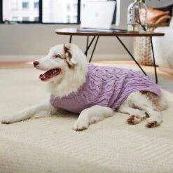 Frisco Bobble-Knit Dog & Cat Turtleneck Sweater -Frisco 223763 PT7. AC SS1800 V1599565272