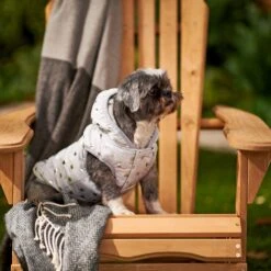 Frisco Mediumweight Silver Polka Dotted Insulated Dog & Cat Coat 13 Frisco Mediumweight Silver Polka Dotted Insulated Dog & Cat Coat -Frisco 224017 PT7. AC SS1800 V1601579462