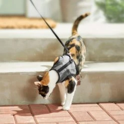 Frisco Wrap Cat Harness 12 Frisco Wrap Cat Harness -Frisco 230691 PT5. AC SS1800 V1601096758