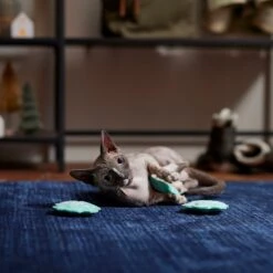 Frisco Snowflake Plush Cat Toy With Catnip, 3 Count 6 Frisco Snowflake Plush Cat Toy With Catnip, 3 Count -Frisco 233285 PT3. AC SS1800 V1661874178