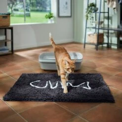 Frisco Microfiber Chenille Fish Bone Litter Mat 9 Frisco Microfiber Chenille Fish Bone Litter Mat -Frisco 236242 PT3. AC SS1800 V1676556249