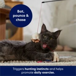 Frisco Zoomies & Chill Popcorn Teaser Wand Cat Toy With Catnip 8 Frisco Zoomies & Chill Popcorn Teaser Wand Cat Toy With Catnip -Frisco 241713 PT5. AC SS1800 V1691785246
