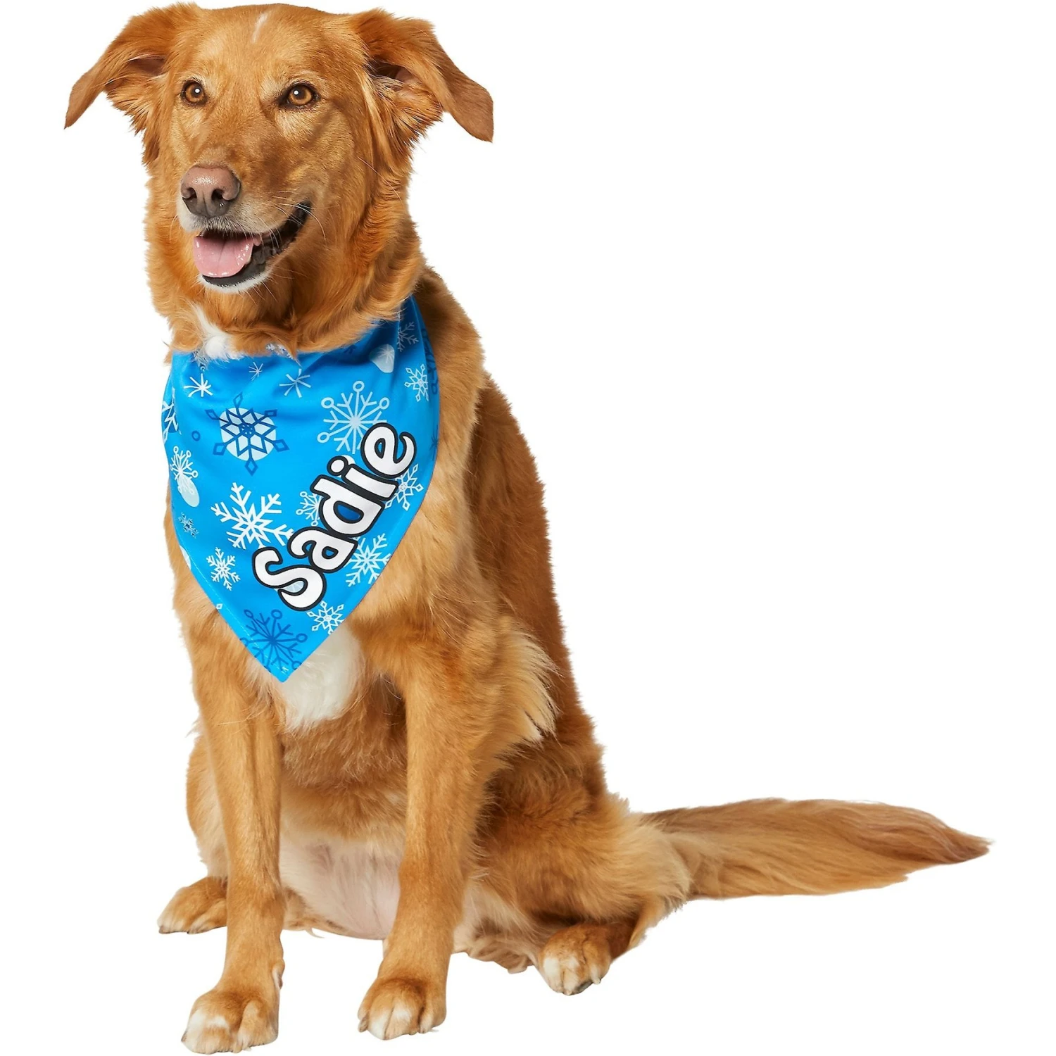 Frisco Blue Snowflakes Personalized Dog & Cat Bandana 7 Frisco Blue Snowflakes Personalized Dog & Cat Bandana - Image 7