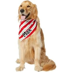 Frisco Peppermint Personalized Dog & Cat Bandana -Frisco 242807 PT6. AC SS1800 V1618509454