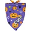 Frisco Halloween Pumpkins Personalized Dog & Cat Bandana
