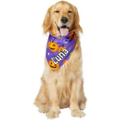 Frisco Halloween Pumpkins Personalized Dog & Cat Bandana 14 Frisco Halloween Pumpkins Personalized Dog & Cat Bandana -Frisco 242815 PT6. AC SS1800 V1618509475