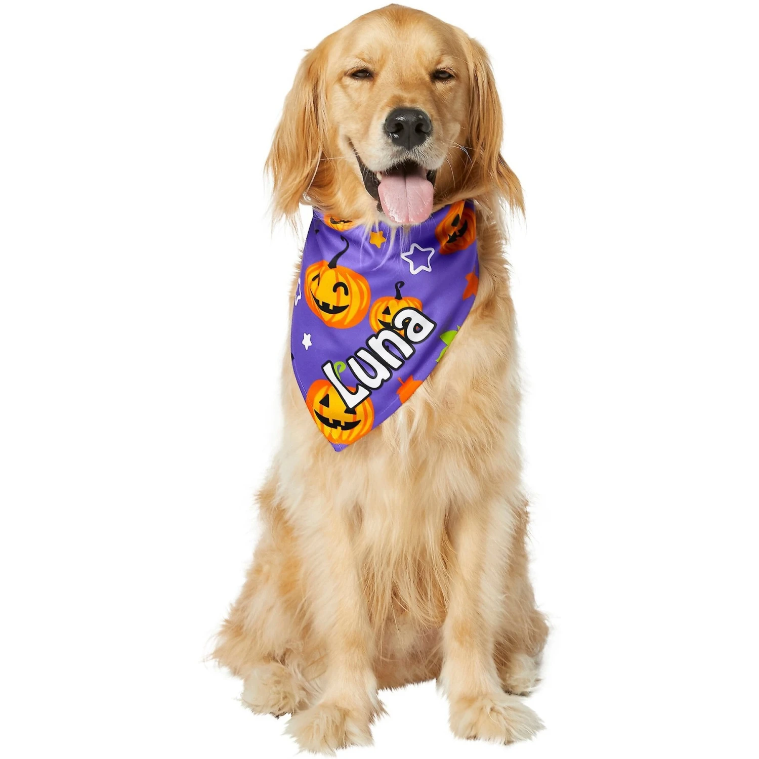 Frisco Halloween Pumpkins Personalized Dog & Cat Bandana 7 Frisco Halloween Pumpkins Personalized Dog & Cat Bandana - Image 7