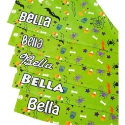 Frisco Halloween Boo! Personalized Dog & Cat Bandana 12 Frisco Halloween Boo! Personalized Dog & Cat Bandana -Frisco 244583 PT4. AC SS1800 V1618508254