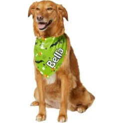 Frisco Halloween Boo! Personalized Dog & Cat Bandana 14 Frisco Halloween Boo! Personalized Dog & Cat Bandana -Frisco 244583 PT6. AC SS1800 V1618510307
