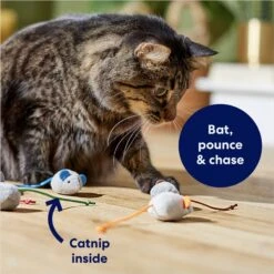 Frisco Mice Plush Cat Toy With Catnip 6 Frisco Mice Plush Cat Toy With Catnip -Frisco 245899 PT2. AC SS1800 V1678723852