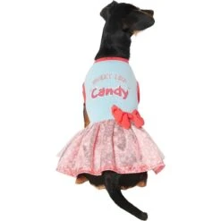 Frisco Sweet Like Candy Dog & Cat Dress 8 Frisco Sweet Like Candy Dog & Cat Dress -Frisco 248666 PT2. AC SS1800 V1632421633