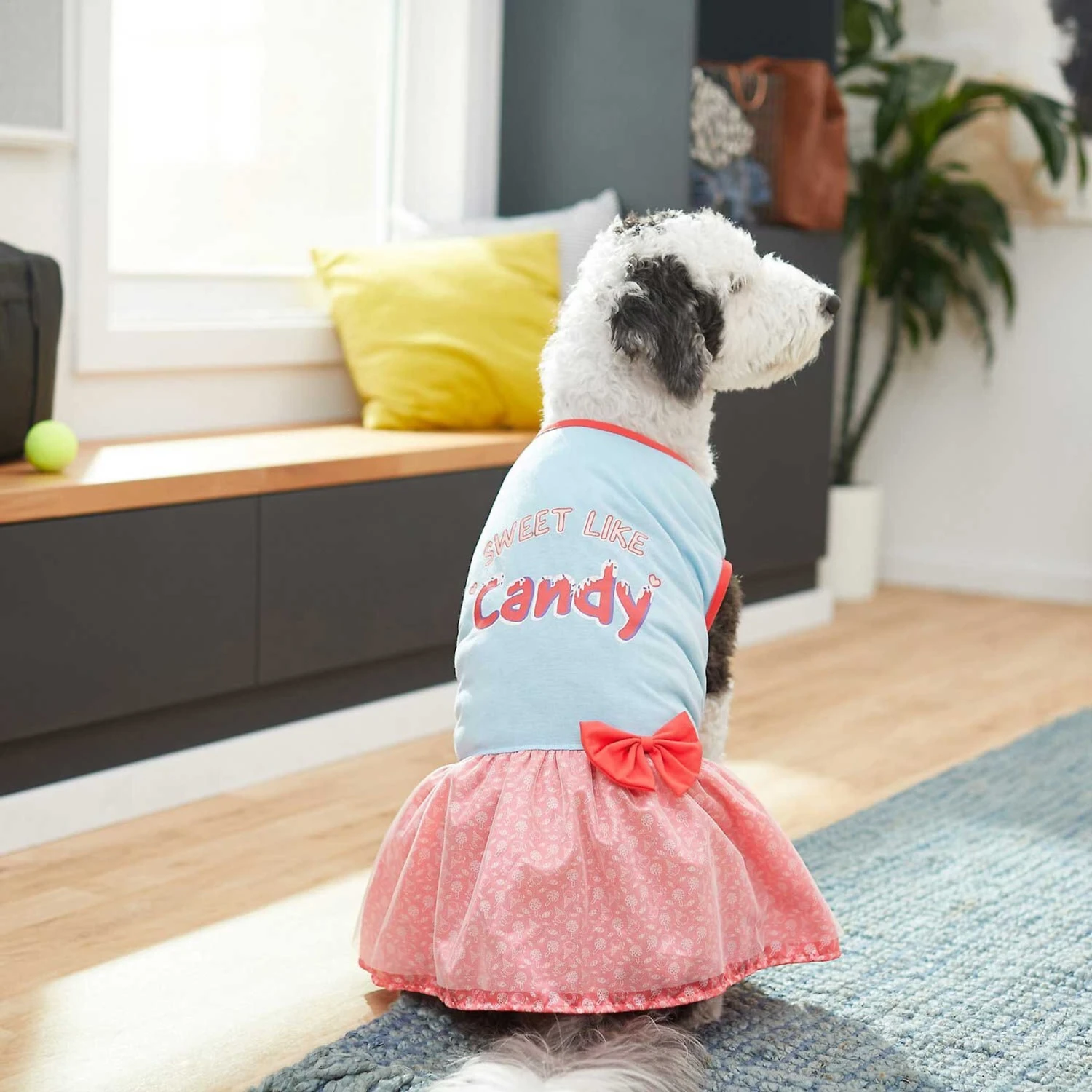 Frisco Sweet Like Candy Dog & Cat Dress 5 Frisco Sweet Like Candy Dog & Cat Dress - Image 5