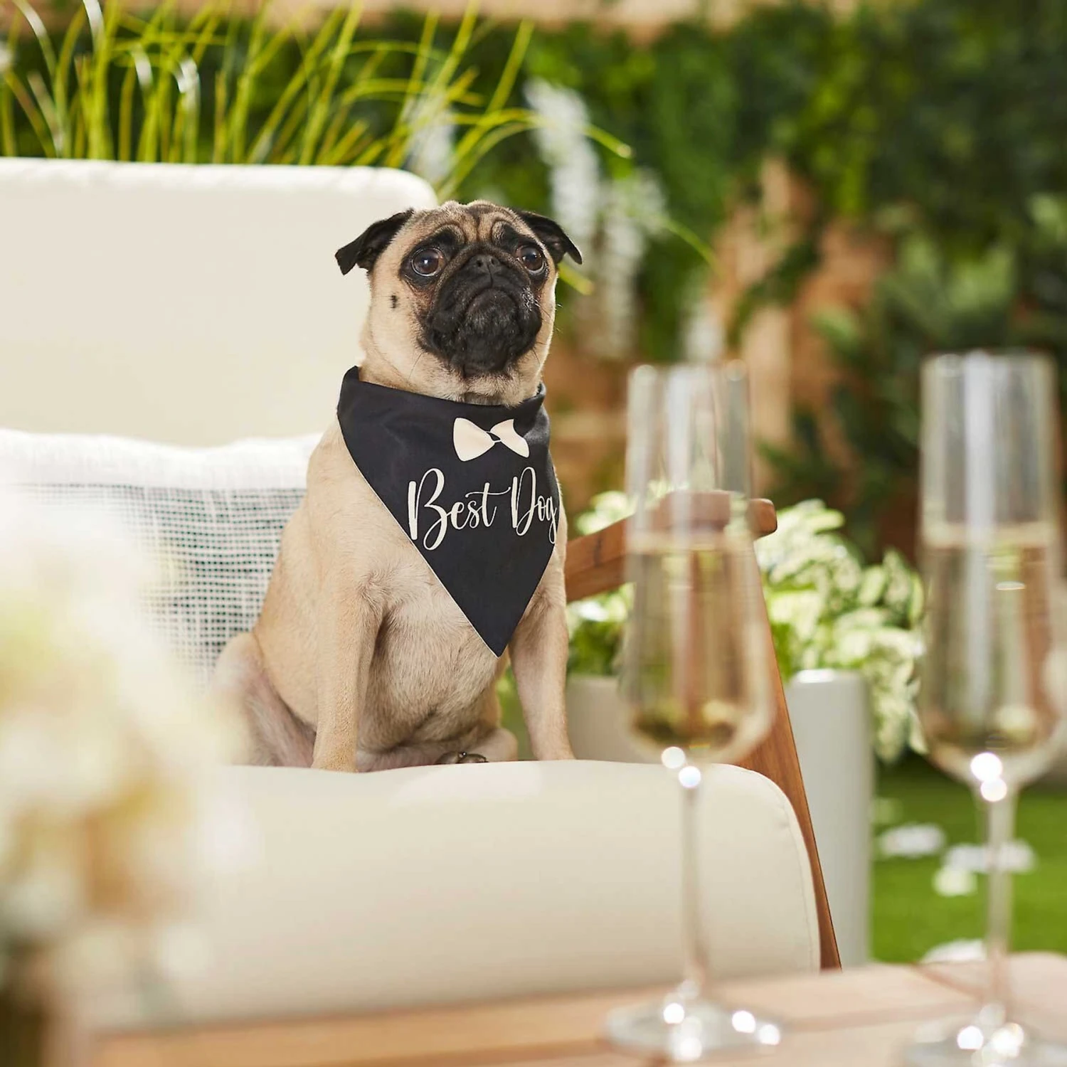 Frisco Wedding Reversible Dog & Cat Bandana 6 Frisco Wedding Reversible Dog & Cat Bandana - Image 6