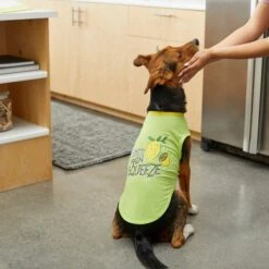 Frisco Mama's Main Squeeze Dog & Cat T-Shirt -Frisco 248853 PT7. AC SS1800 V1613683647