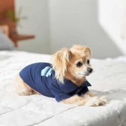 Frisco Dog & Cat Polo Shirt With Accent Pocket 15 Frisco Dog & Cat Polo Shirt With Accent Pocket -Frisco 248880 PT7. AC SS1800 V1644960683