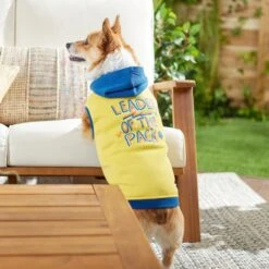 Frisco Leader Of The Pack Dog & Cat Hoodie -Frisco 248905 PT7. AC SS1800 V1613752118