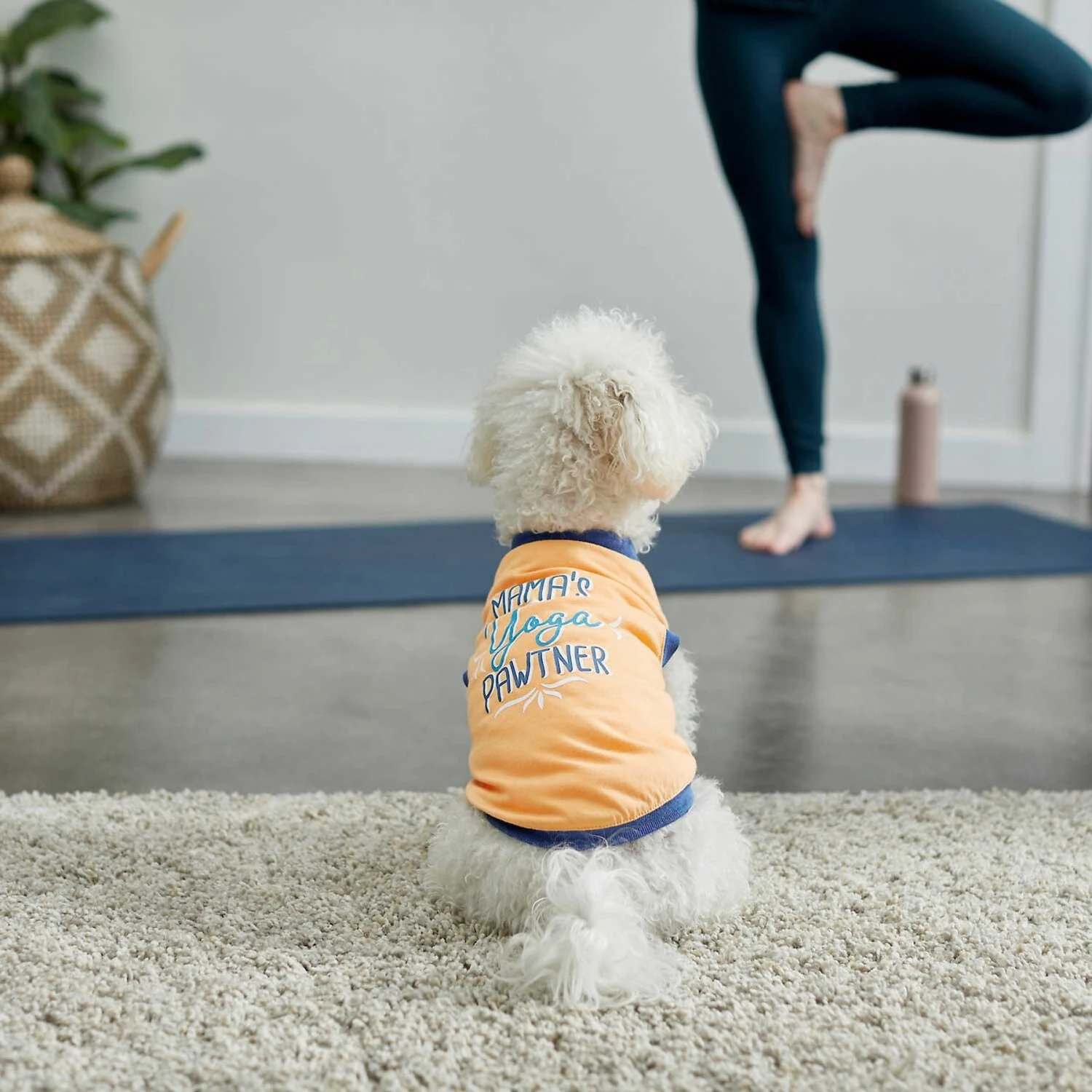 Frisco Mama's Yoga Pawtner Dog & Cat T-Shirt 5 Frisco Mama's Yoga Pawtner Dog & Cat T-Shirt - Image 5