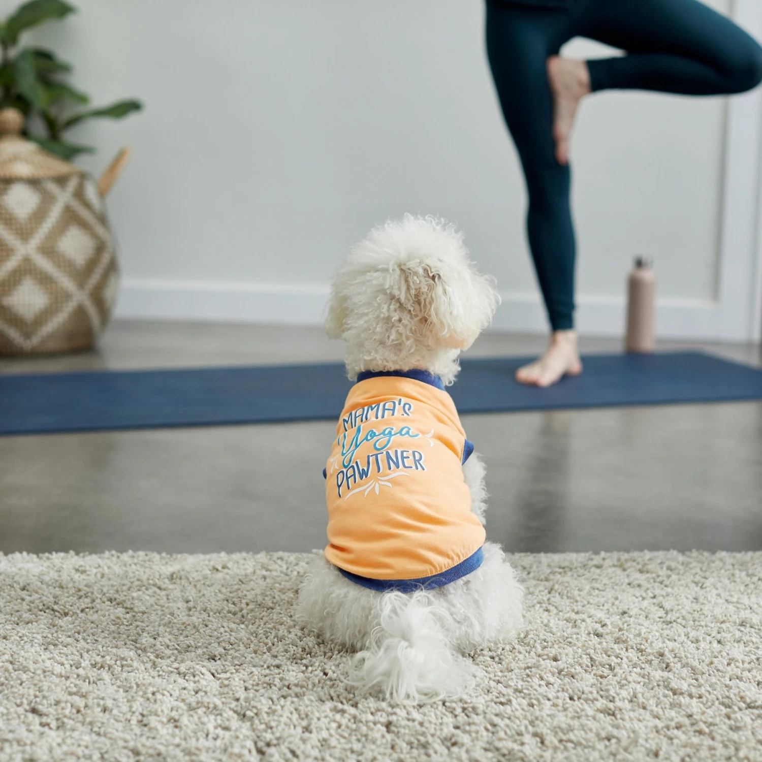 Frisco Mama's Yoga Pawtner Dog & Cat T-Shirt 6 Frisco Mama's Yoga Pawtner Dog & Cat T-Shirt - Image 6