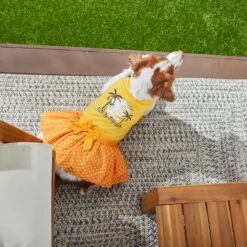 Frisco Fun In The Sun Dog & Cat Dress 10 Frisco Fun In The Sun Dog & Cat Dress -Frisco 249058 PT4. AC SS1800 V1637668124