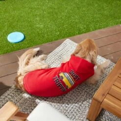 Frisco Just Trippin' Dog & Cat Hoodie 12 Frisco Just Trippin' Dog & Cat Hoodie -Frisco 249086 PT5. AC SS1800 V1637706117