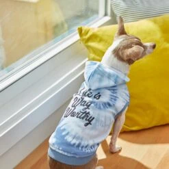 Frisco Life Is Wag Worthy Tiedye Print Dog & Cat Hoodie 14 Frisco Life Is Wag Worthy Tiedye Print Dog & Cat Hoodie -Frisco 249094 PT7. AC SS1800 V1614362017